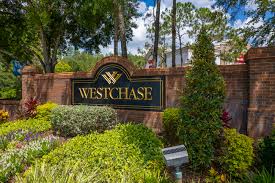 Westchase Small Business